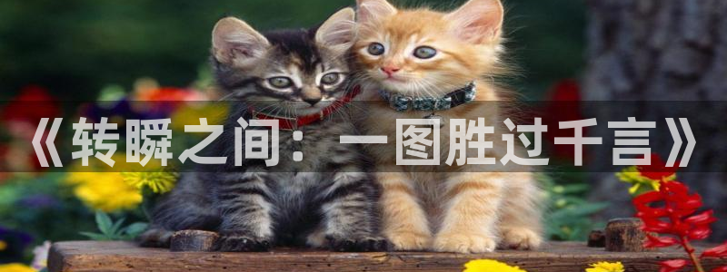 酷漫屋下拉式(免费漫画)下载